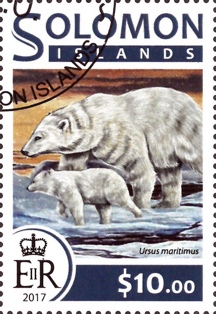 Polar Bear (Ursus maritimus)
