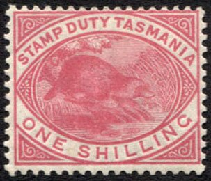 Stamp, Platypus, Tasmania,  , Animals (Fauna)
