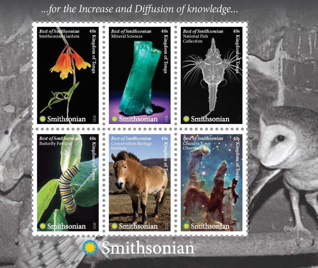 The Best of the Smithsonian