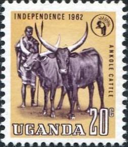 Stamp, Ankole Cattle (Bos primigenius taurus), Uganda,  , Agriculture, Cattle