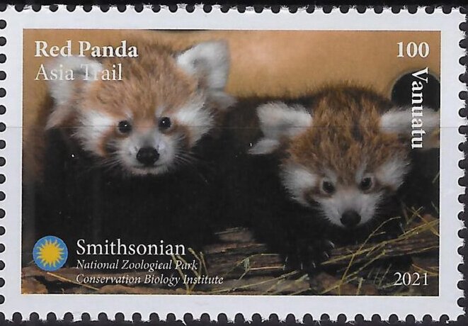Red Panda (Ailurus fulgens)