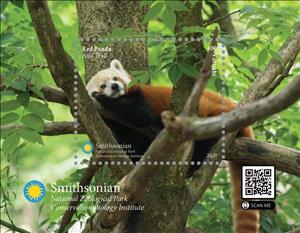 Souvenir Sheet, Red Panda (Ailurus fulgens), Vanuatu,  , Animals (Fauna), Mammals