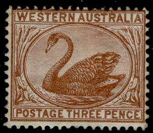 Stamp, Black Swan (Cygnus atratus), Western Australia,  
