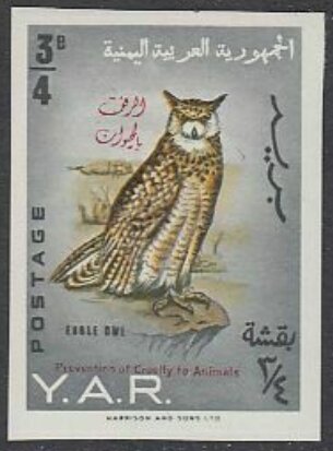 Arabian Spotted Eagle-Owl (Bubo africanus m.) - overprinted