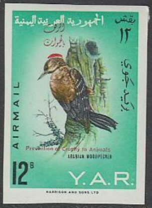 Arabian Woodpecker (Dendrocopus dorae) - overprinted