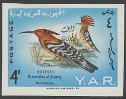 Eurasian Hoopoe (Upupa epops) - overprinted