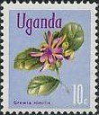 Stamp, Grewia similis, Uganda,  , Flowers, Plants (Flora)