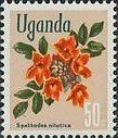 African tulip tree (Spathodea nilotica)