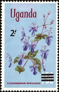 Stamp, Butterfly Bush (Clerodendrum myricoides), Uganda,  , Flowers, Plants (Flora)