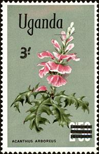 Stamp, Acanthus pubescens, Uganda,  , Flowers, Plants (Flora)