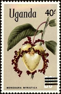 Stamp, Calabash nutmeg (Monodora myristica), Uganda,  , Trees, Flowers, Plants (Flora)
