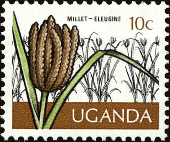 Millet