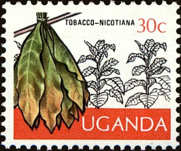 Tobacco
