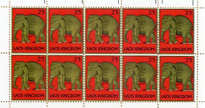 Elephant
