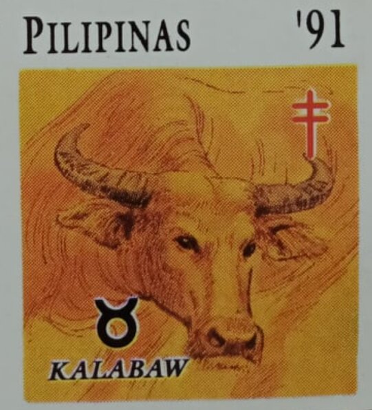 Kalabaw (Water Buffalo)