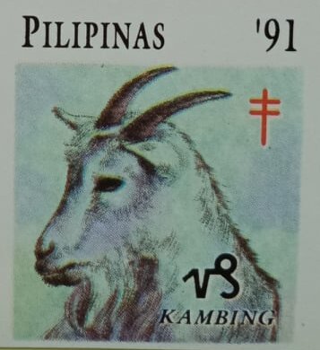 Kambing (Goat)