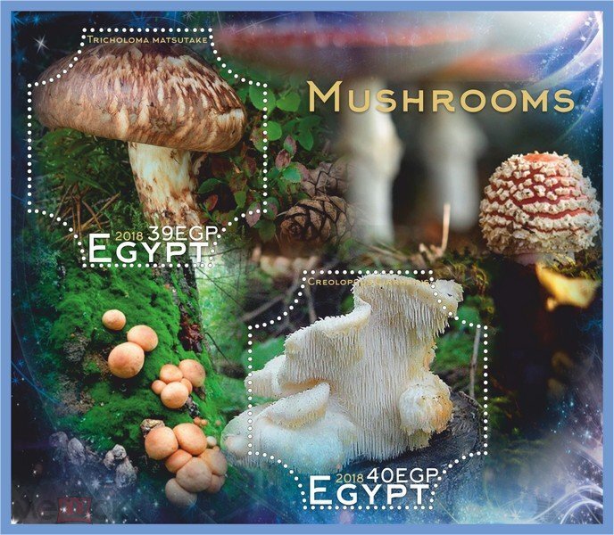 Mushrooms