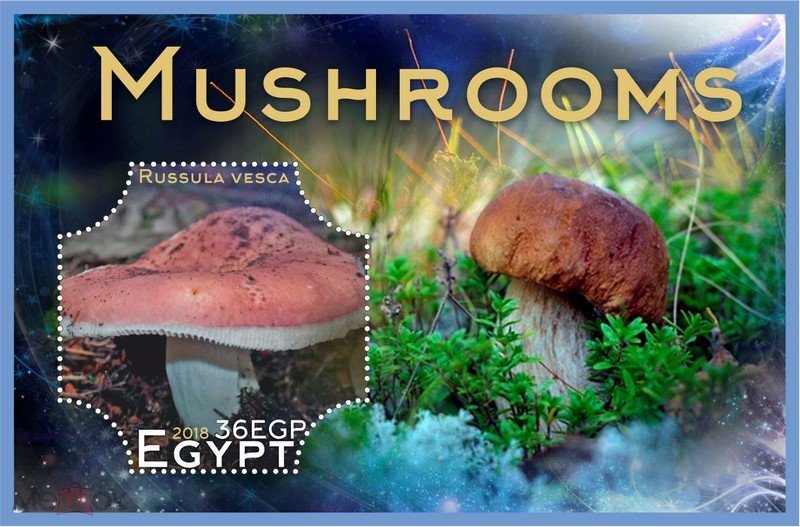 Mushrooms