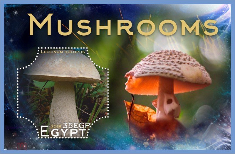 Mushrooms