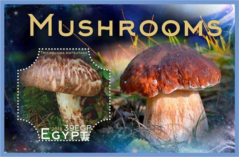 Mushrooms
