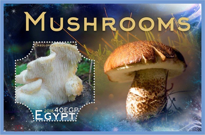 Mushrooms