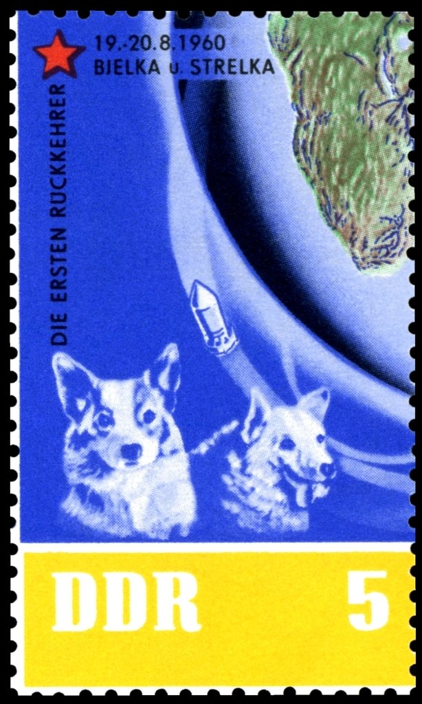 Space Dog "Belka and Strelka"