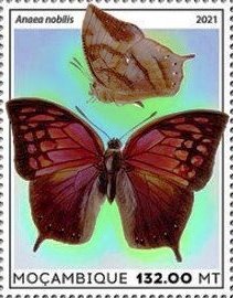 Stamp, Anaea nobilis, Mozambique,  , Animals (Fauna), Butterflies, Insects