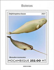 Souvenir Sheet, Delphinapterus leucas/Monodon monoceros, Mozambique,  , Sea Life, Whales