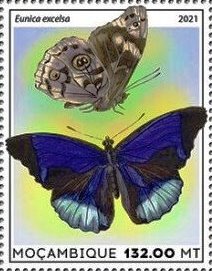 Stamp, Eunica excelsa, Mozambique,  , Animals (Fauna), Butterflies, Insects