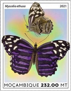 Stamp, Myscelia ethusa, Mozambique,  , Animals (Fauna), Butterflies, Insects
