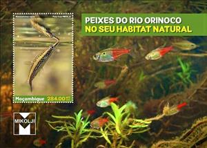 Souvenir Sheet, Nonnostromus eques, Mozambique,  , Fishes, Sea Life