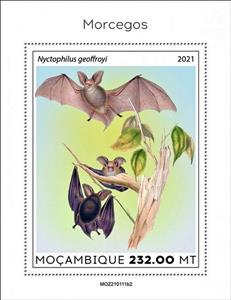 Souvenir Sheet, Nyctophilus geoffroyi, Mozambique,  , Animals (Fauna), Bats