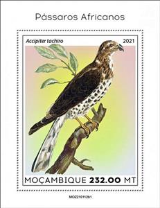 Souvenir Sheet, The African Goshawk (Accipiter tachiro), Mozambique,  , Birds