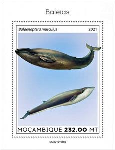 Souvenir Sheet, The Blue Whale (Balaenoptera musculus), Mozambique,  , Sea Life, Whales