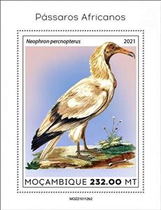 Souvenir Sheet, The Egyptian Vulture (Neophron percnopterus), Mozambique,  , Birds