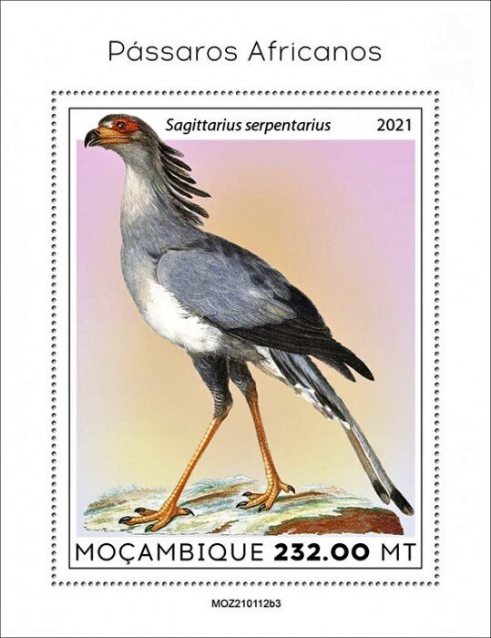 The Secretary Bird (Sagittarius serpentarius)