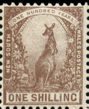 Stamp, Eastern Grey Kangaroo (Macropus giganteus), New South Wales,  