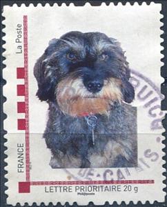Stamp, Dog, Personalized and Private Mail Stamps,  , Animals (Fauna), Dogs
