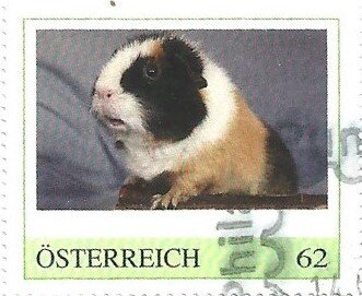 Nagetiere