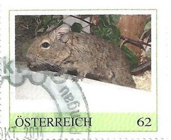 Nagetiere