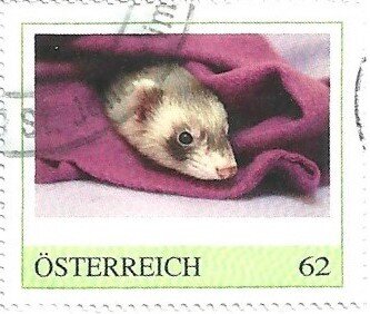 Nagetiere