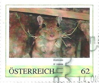 Nagetiere