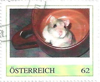 Nagetiere