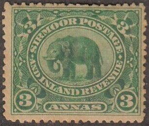 Indian Elephant (Elaphas Maximus)