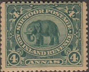 Indian Elephant (Elaphas Maximus)
