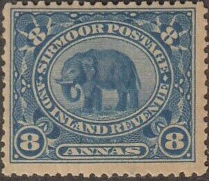 Indian Elephant (Elaphas Maximus)