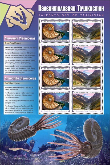 Ammonite cleoniceras, Pamir Mountains