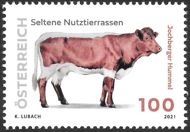 Jochberger Hummel
