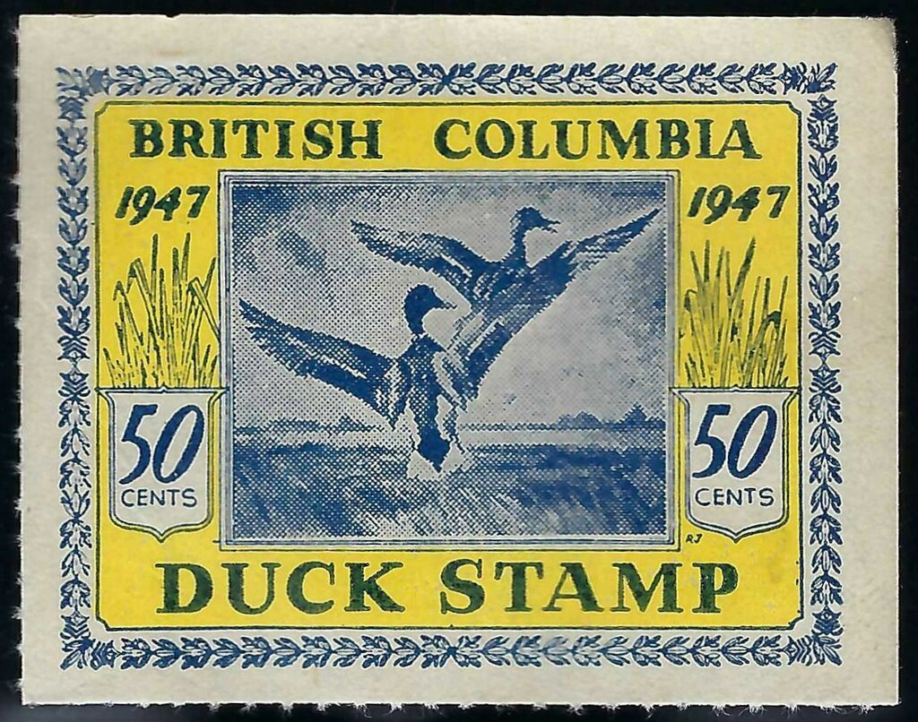 Ducks taking off