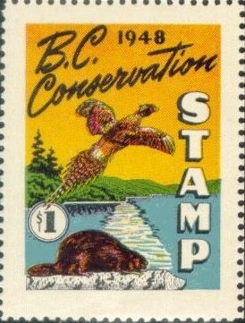 Pheasant and beaver